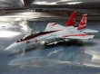 画像2: 1/100F-15 201SQ20周年記念塗装デカール (2)