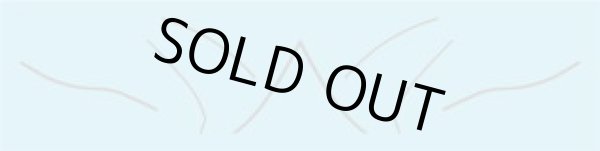 画像3: 1/12ホンダRC211V'02加藤大治郎デカール (3)