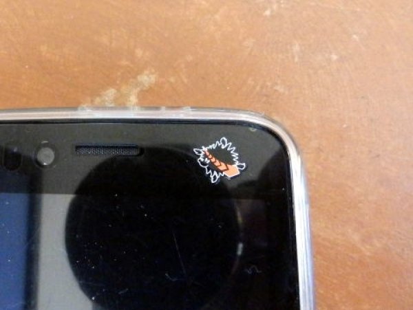 画像4: 1/43ウイリアムズFW15C&MP4/2C WCセットデカール (4)