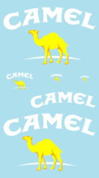 画像4: 1/12ヤマハYZR-M1'06キャメルデカール (4)