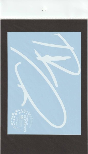 画像10: 1/18レッドブルRB16B最終戦仕様追加ロゴデカール (10)