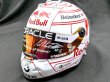 画像7: 1/2 ヘルメット M.フェルスタッペン 2025 日本GP バイザーデカール (7)